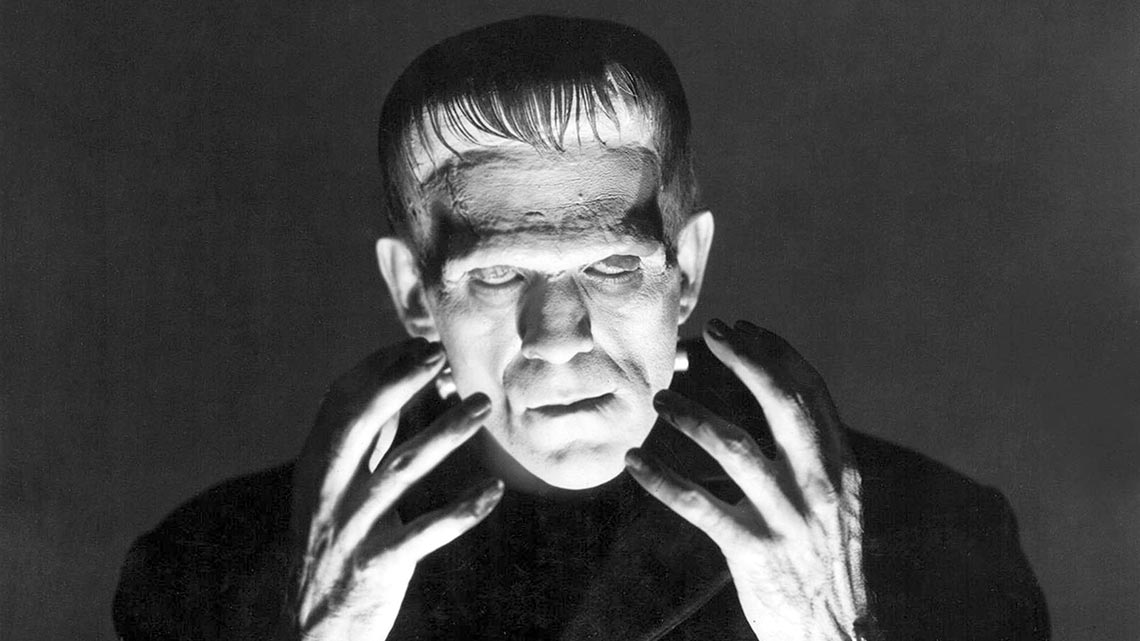 The Strange Life Of Dr Frankenstein